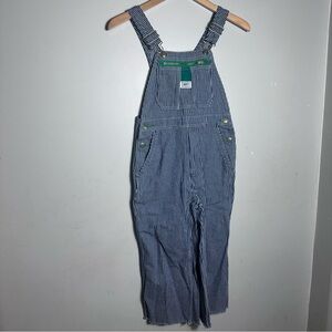 Liberty Striped Blue Youth Overalls